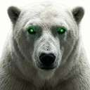 White Polar Bear (ICEBEAR) logo