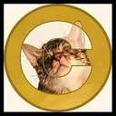 Catecoin (CATE) logo