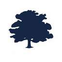 Forest Road USDfr (USDFR) logo