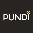 Pundi X (PUNDIX) logo