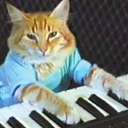 Keyboard Cat (Base) (KEYCAT) logo