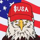 American Coin (USA) logo