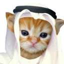 Habibi (Sol) (HABIBI) logo