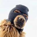 Ski Mask Dog (SKI) logo