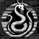 H1DR4 by Virtuals (H1DR4) logo