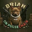 BRIAH (BRIAH) logo