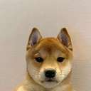 It's just a Dog (DOG) logo
