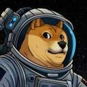 DOGE-1 Satellite (DOGE-1) logo