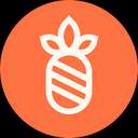 Exotic Markets (EXO) logo