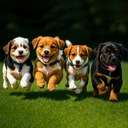 I love puppies  (PUPPIES) logo