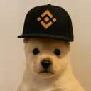 PUP (PUP) logo