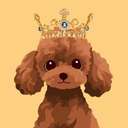 BunPoodle (BUN) logo