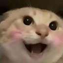 哈基米 (Hajimi) (哈基米) logo