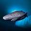 Greenland Shark (SHARK) logo