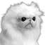 Monkey Cat (WTF) logo