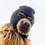 Ski Mask Dog (SKI) logo