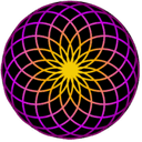 TORUS (TORUS) logo