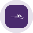 Wolfspeed (Ondo Tokenized) (WOLFON) logo