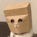 Anonymous Cat (ZCAT) logo
