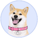 DogeGF (DOGEGF) logo
