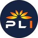 Plugin (PLI) logo