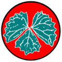 Vcash (XVC) logo