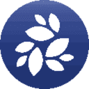 NKN (NKN) logo