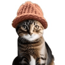 catwifhat ($CWIF) logo