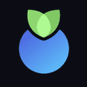 Blueberry (BLB) logo