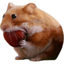nomnom (NOMNOM) logo