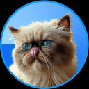 Mr. Miggles (MIGGLES) logo