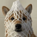 Wrapped DOG (WDOG) logo