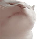 Vibe Cat (VIBE) logo