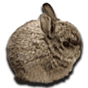 Smol Bun (BUN) logo