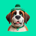 BORGY ($BORGY) logo