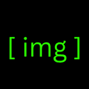 Infinite Money Glitch (IMG) logo