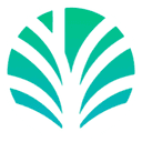 Palm Economy (PALM) logo