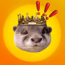 Degen the Otter (DEGEN) logo