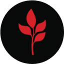 MarsMi (MARSMI) logo