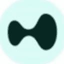 Wormhole Bridged HYPE (HYPE) logo