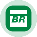 Petrobras (Ondo Tokenized Stock) (PBRON) logo