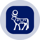Novo Nordisk (Ondo Tokenized Stock) (NVOON) logo
