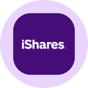 iShares Core MSCI EAFE ETF (Ondo Tokenized ETF) (IEFAON) logo