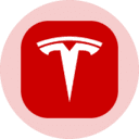 Tesla (Ondo Tokenized Stock) (TSLAON) logo