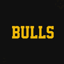 Bulls (BULLS) logo