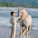 马到成功 (Success) (马到成功) logo