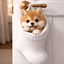 Dog In Sock (PUP) logo