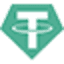 Bridged Tether (Avalanche) (USDTE) logo