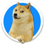 Kabosu Inu (KABOSU) logo