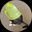 catwifbag (BAG) logo